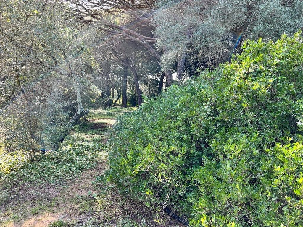 3 soveværelse Finca/Landehus til salg i Vejer de la Frontera - € 250.000 (Ref: 7344269)