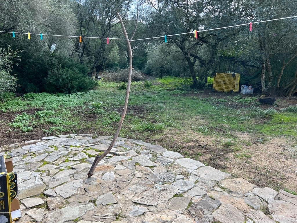 3 soveværelse Finca/Landehus til salg i Vejer de la Frontera - € 250.000 (Ref: 7344269)