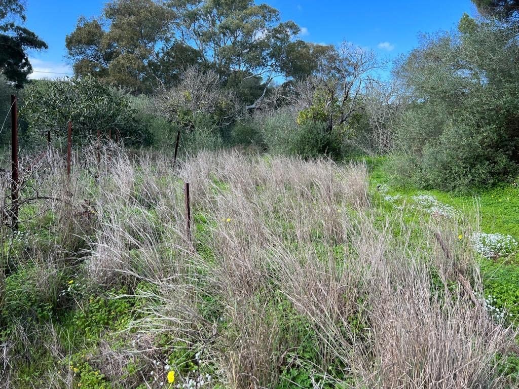 3 soveværelse Finca/Landehus til salg i Vejer de la Frontera - € 250.000 (Ref: 7344269)