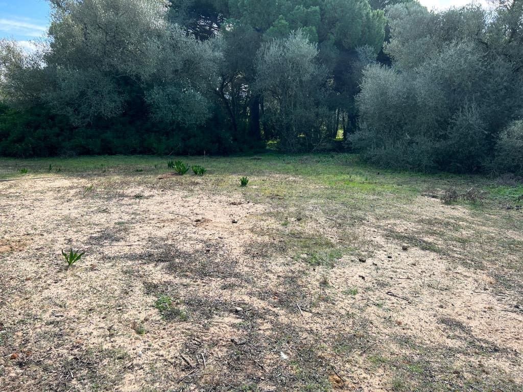 3 soveværelse Finca/Landehus til salg i Vejer de la Frontera - € 250.000 (Ref: 7344269)