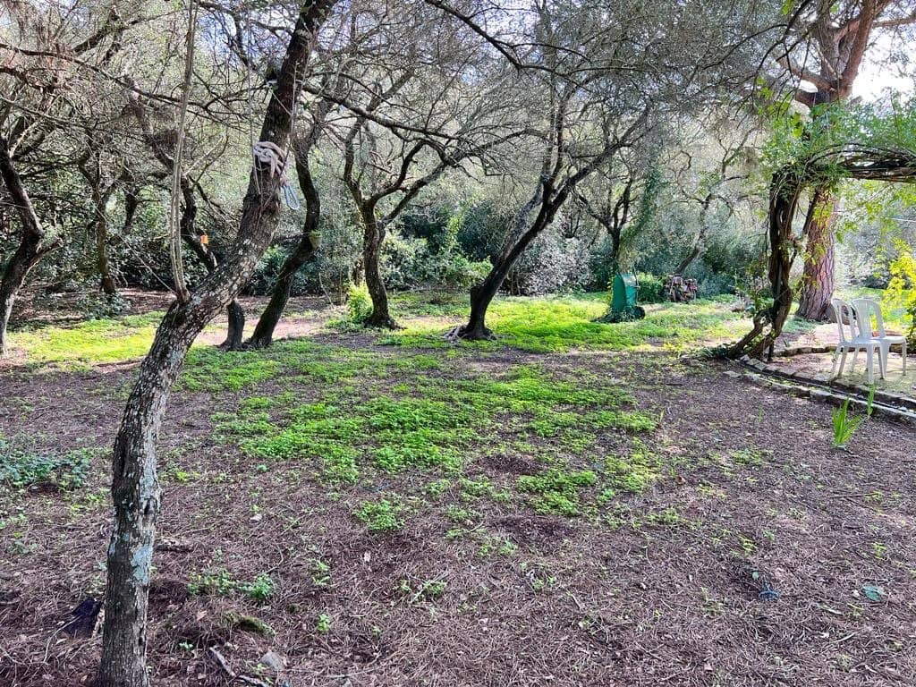 3 soveværelse Finca/Landehus til salg i Vejer de la Frontera - € 250.000 (Ref: 7344269)