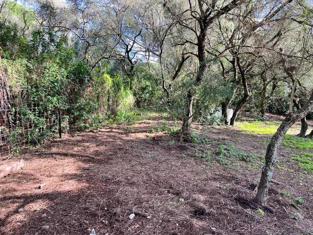 3 soveværelse Finca/Landehus til salg i Vejer de la Frontera - € 250.000 (Ref: 7344269)