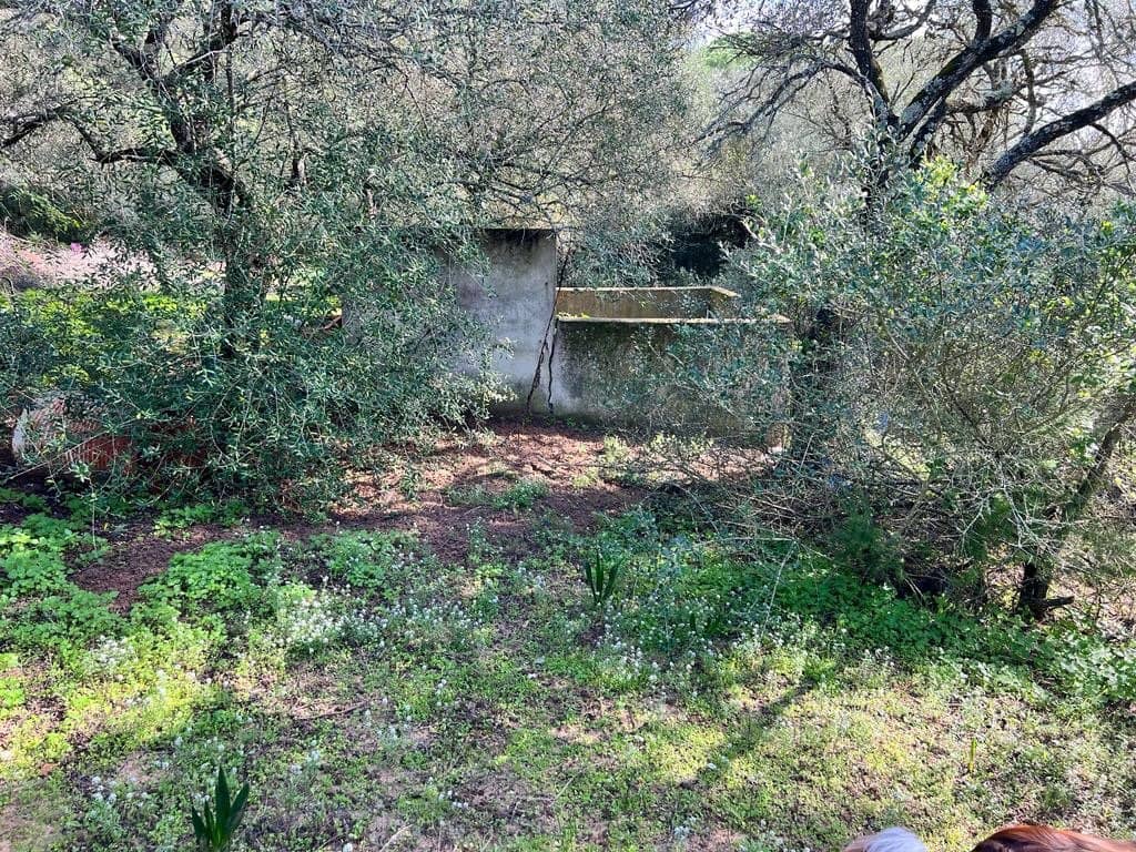 3 soveværelse Finca/Landehus til salg i Vejer de la Frontera - € 250.000 (Ref: 7344269)