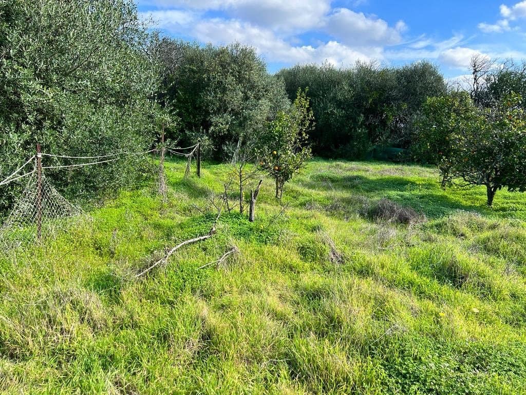 3 soveværelse Finca/Landehus til salg i Vejer de la Frontera - € 250.000 (Ref: 7344269)