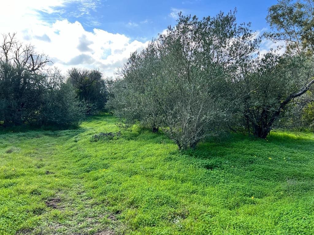 3 soveværelse Finca/Landehus til salg i Vejer de la Frontera - € 250.000 (Ref: 7344269)