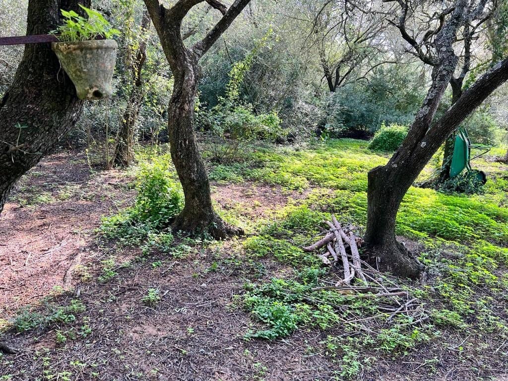 3 soveværelse Finca/Landehus til salg i Vejer de la Frontera - € 250.000 (Ref: 7344269)