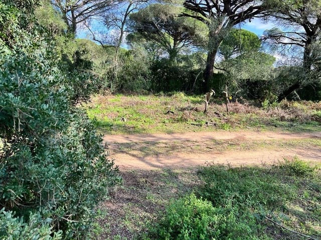 3 soveværelse Finca/Landehus til salg i Vejer de la Frontera - € 250.000 (Ref: 7344269)