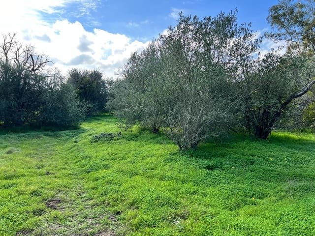3 soveværelse Finca/Landehus til salg i Vejer de la Frontera - € 250.000 (Ref: 7344269)