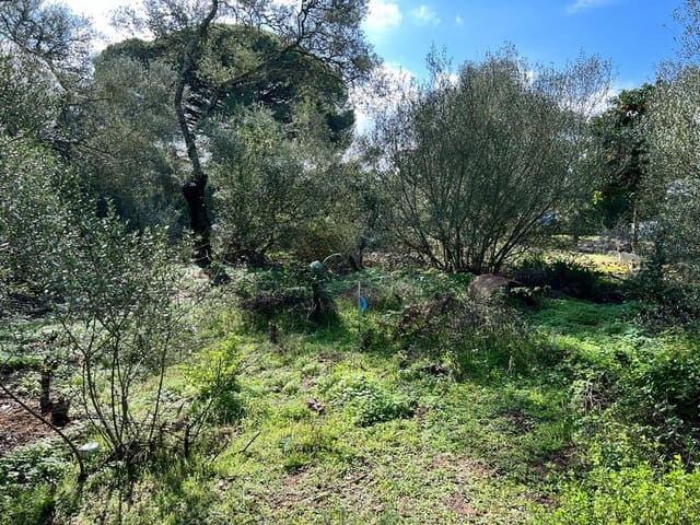 3 soveværelse Finca/Landehus til salg i Vejer de la Frontera - € 250.000 (Ref: 7344269)