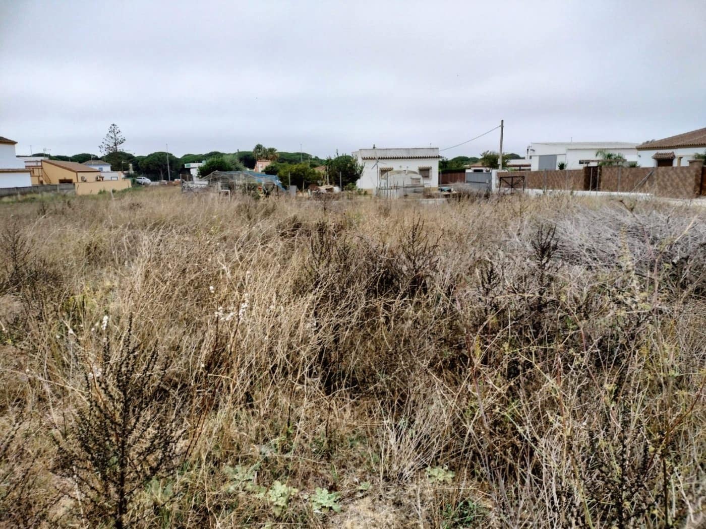 Ubebygd land til salgs i Conil de la Frontera - € 85 000 (Ref: 7394118)