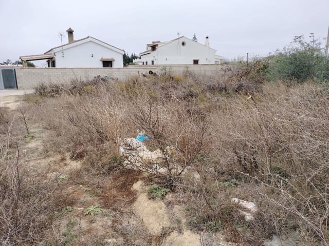 Ubebygd land til salgs i Conil de la Frontera - € 85 000 (Ref: 7394118)