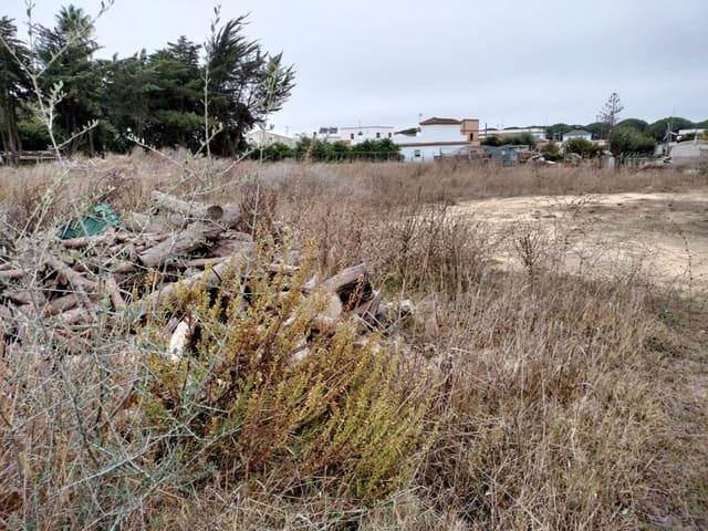 Ubebygd land til salgs i Conil de la Frontera - € 85 000 (Ref: 7394118)