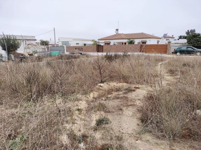 Ubebygd land til salgs i Conil de la Frontera - € 85 000 (Ref: 7394118)