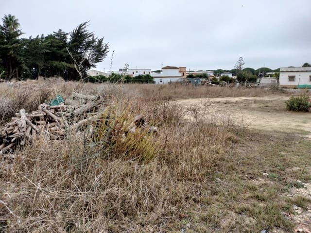 Ubebygd land til salgs i Conil de la Frontera - € 85 000 (Ref: 7394118)