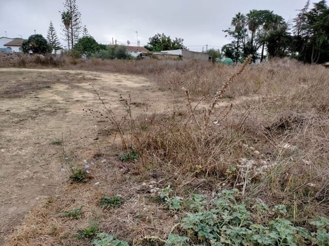 Ubebygd land til salgs i Conil de la Frontera - € 85 000 (Ref: 7394118)
