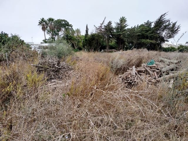 Ubebygd land til salgs i Conil de la Frontera - € 85 000 (Ref: 7394118)