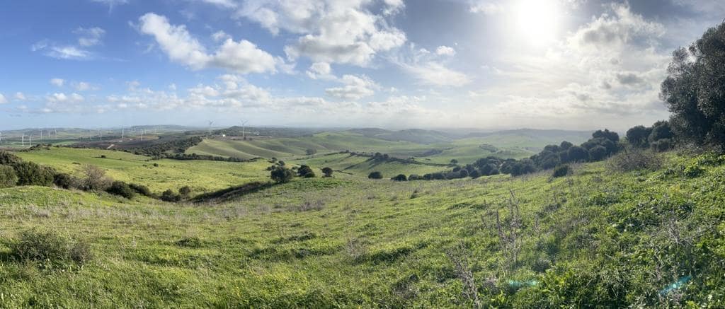 Finca/Landhuis te koop in Vejer de la Frontera - € 230.000 (Ref: 7407185)