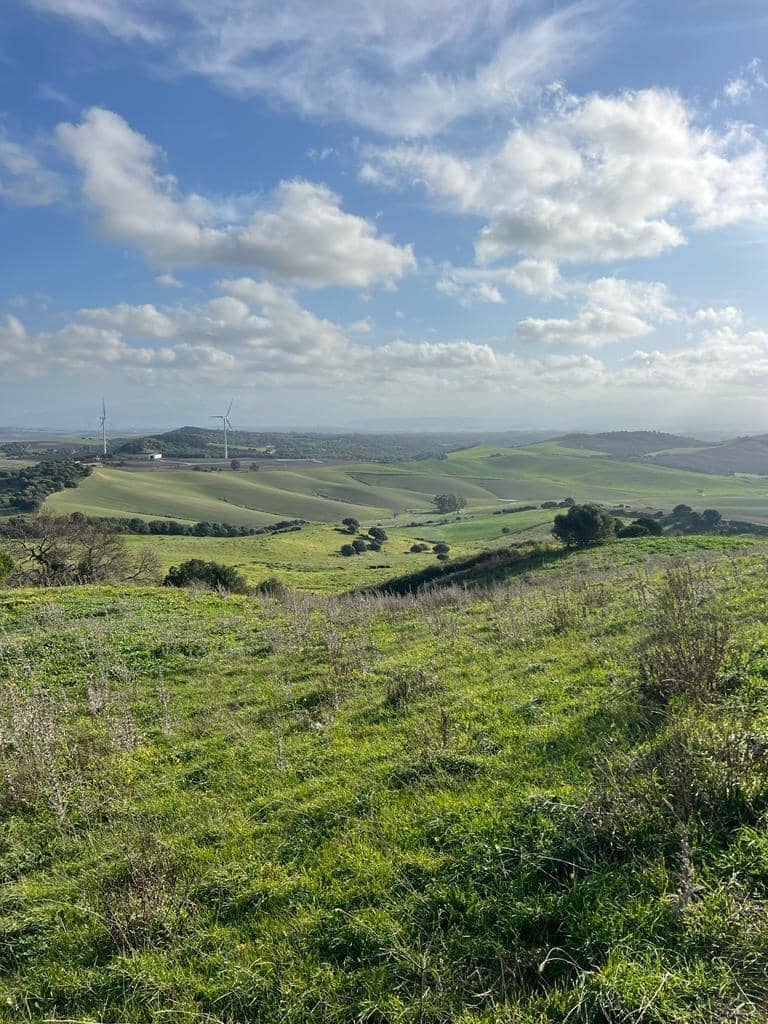 Finca/Landhuis te koop in Vejer de la Frontera - € 230.000 (Ref: 7407185)