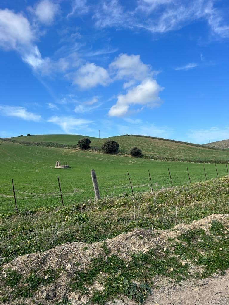 Finca/Landhuis te koop in Vejer de la Frontera - € 230.000 (Ref: 7407185)