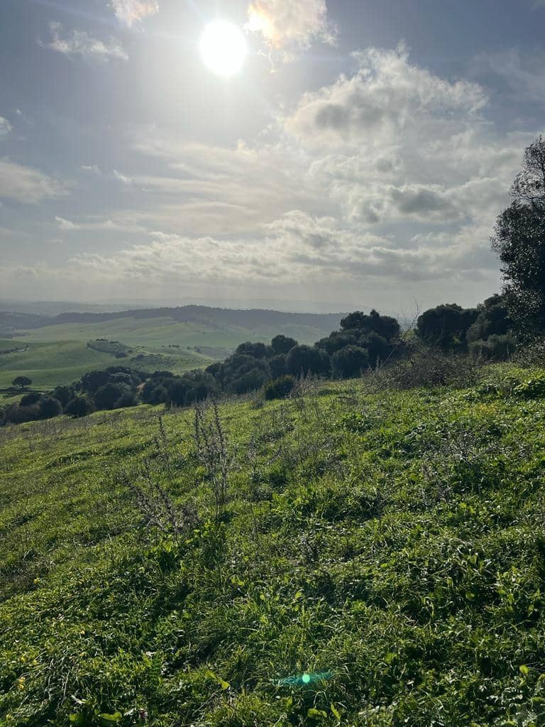 Finca/Landhuis te koop in Vejer de la Frontera - € 230.000 (Ref: 7407185)