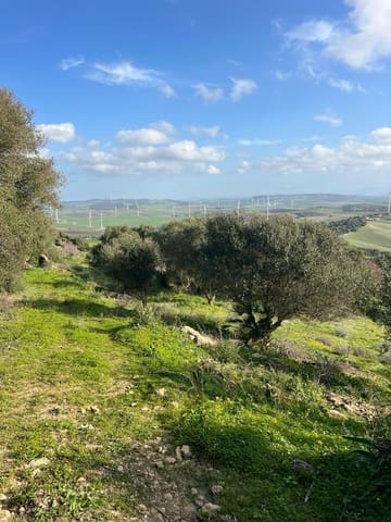 Finca/Landehus til salg i Vejer de la Frontera - € 230.000 (Ref: 7407185)