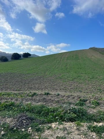 Finca/Landehus til salg i Vejer de la Frontera - € 230.000 (Ref: 7407185)