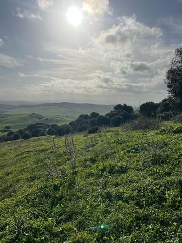 Finca/Landehus til salg i Vejer de la Frontera - € 230.000 (Ref: 7407185)