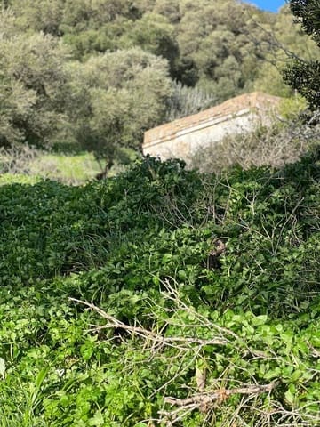 Finca/Landehus til salg i Vejer de la Frontera - € 230.000 (Ref: 7407185)