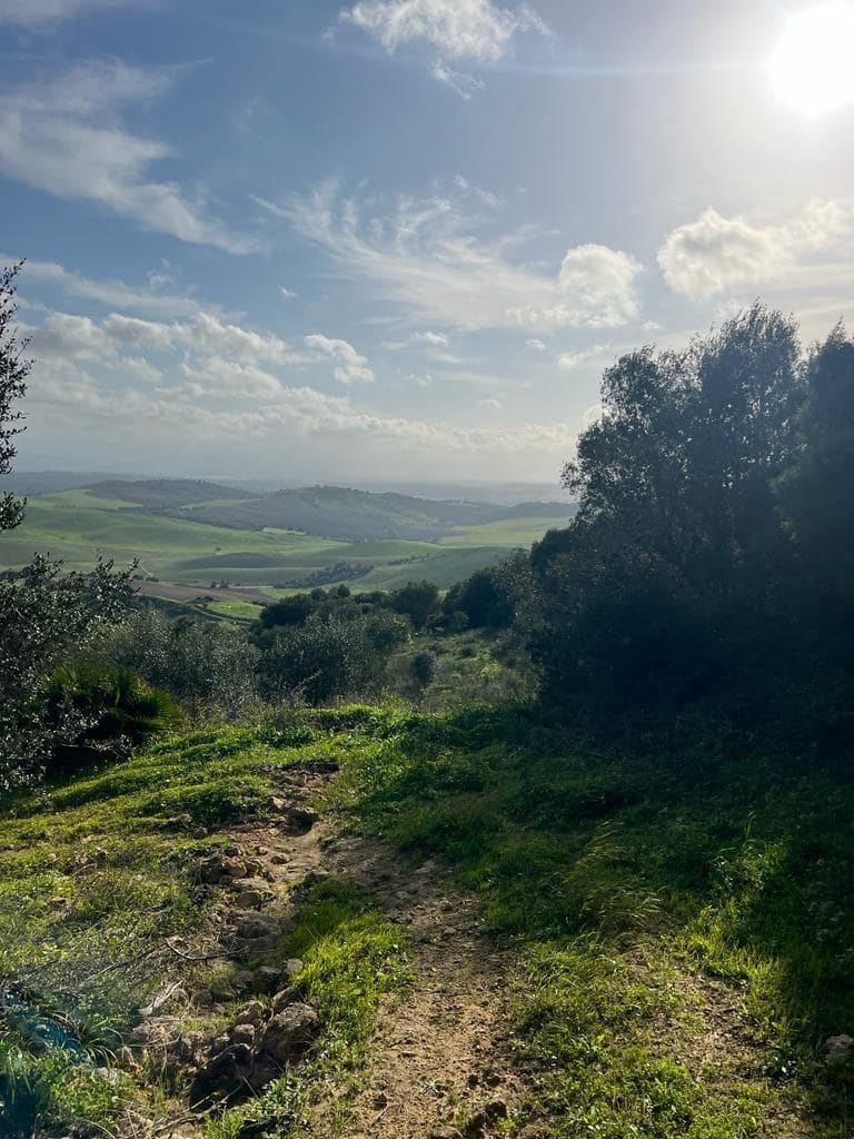 Byggetomt til salgs i Vejer de la Frontera - € 230 000 (Ref: 7465017)