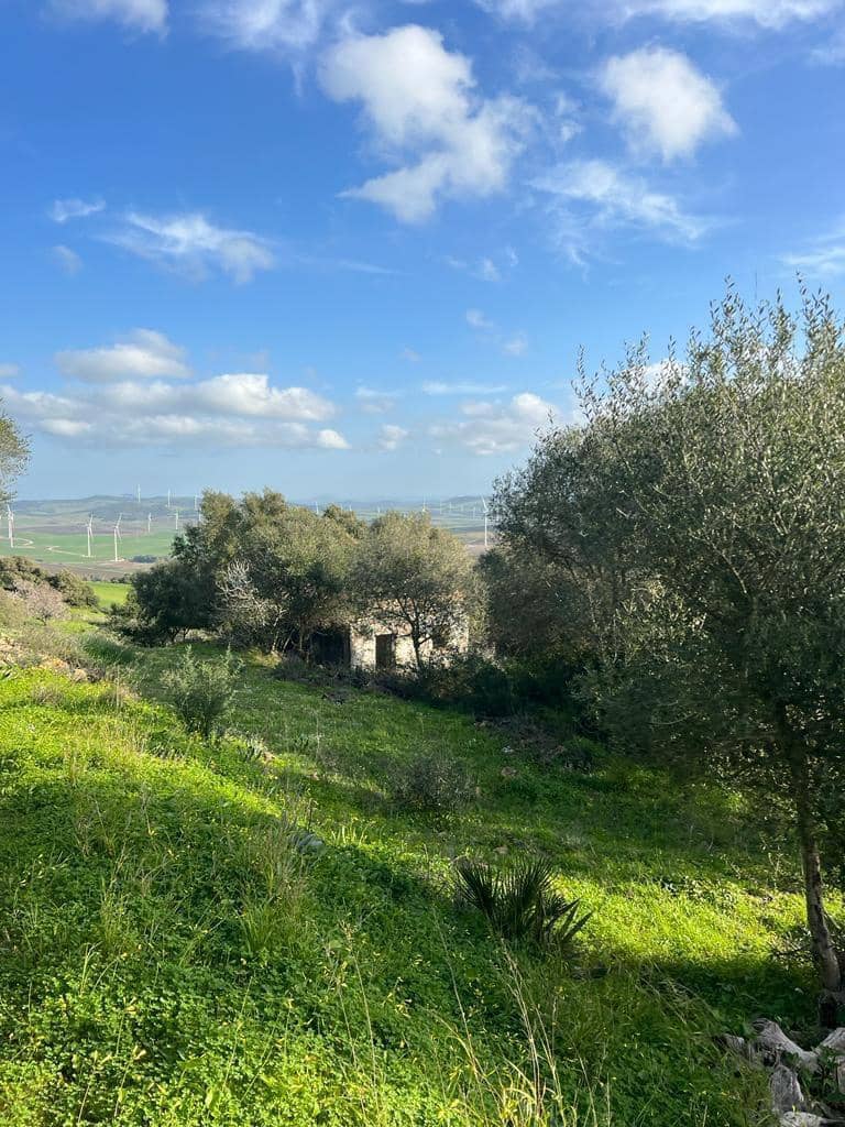 Byggetomt til salgs i Vejer de la Frontera - € 230 000 (Ref: 7465017)