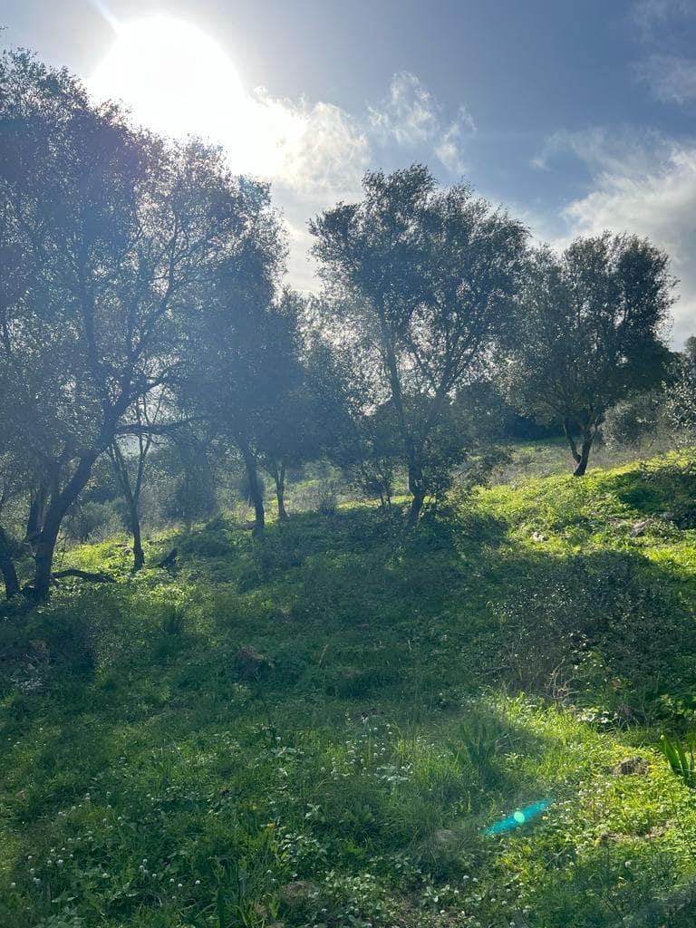 Byggetomt til salgs i Vejer de la Frontera - € 230 000 (Ref: 7465017)