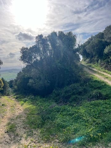 Bouwgrond te koop in Vejer de la Frontera - € 230.000 (Ref: 7465017)