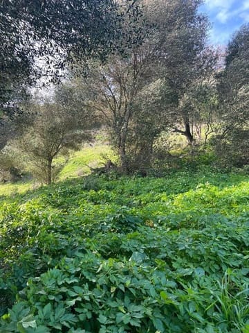 Bouwgrond te koop in Vejer de la Frontera - € 230.000 (Ref: 7465017)