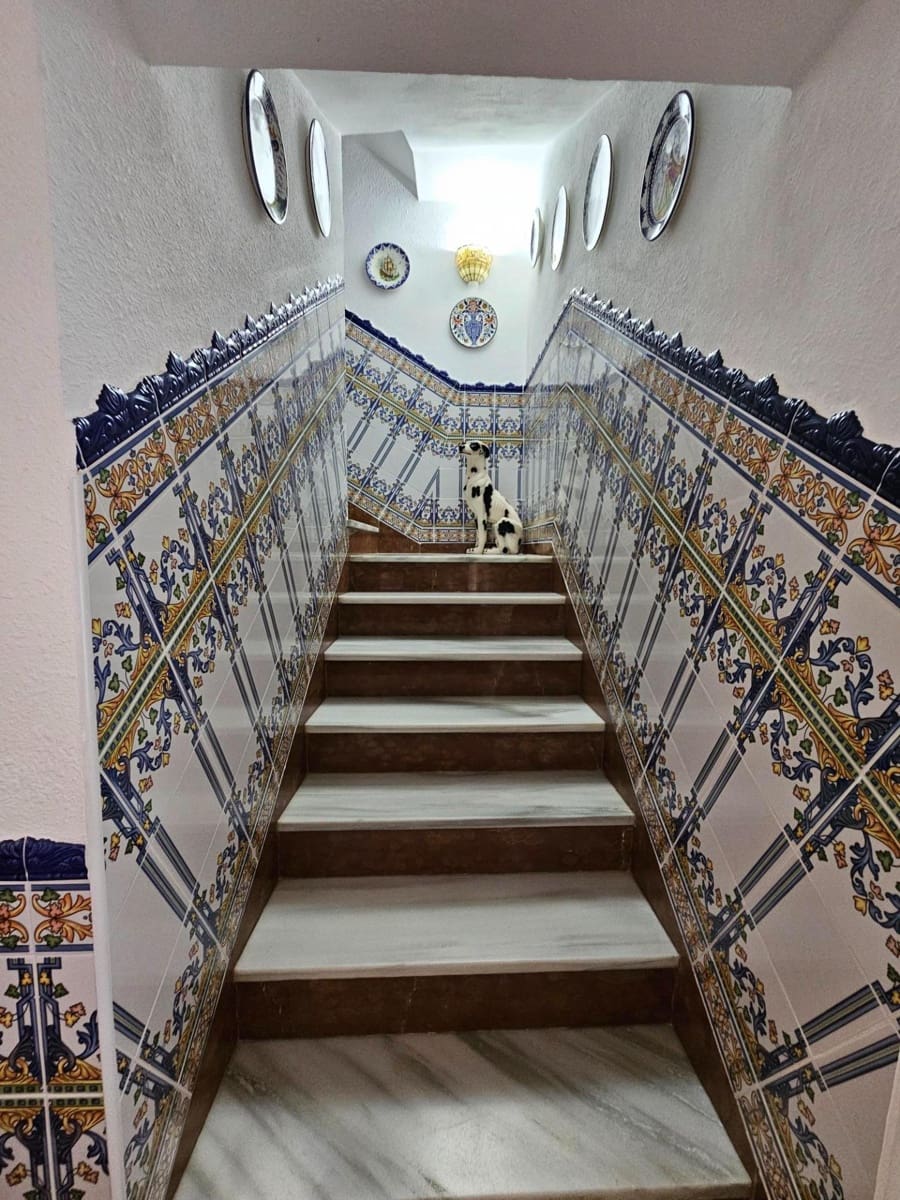 4 soverom Hus til salgs i Vejer de la Frontera - € 395 000 (Ref: 7482429)