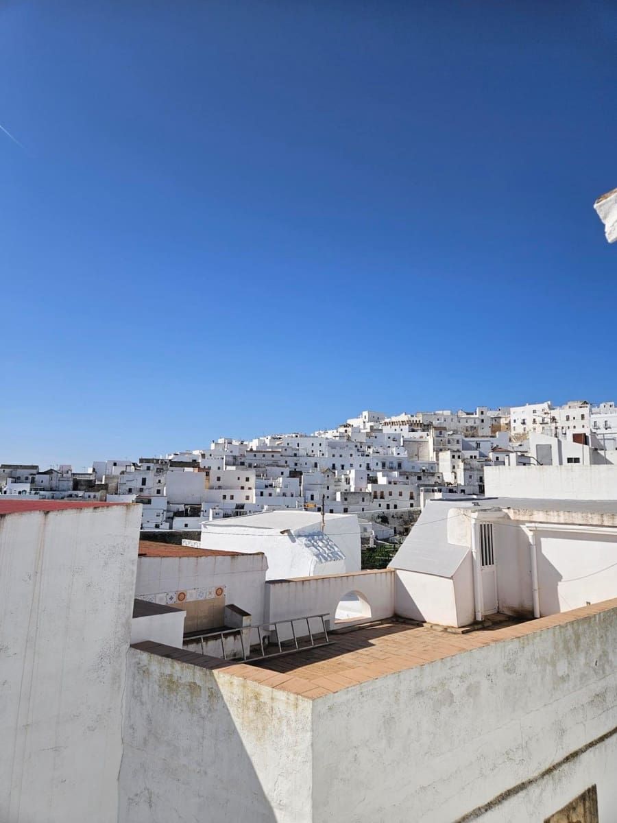 Casa de 4 habitaciones en Vejer de la Frontera en venta - 395.000 € (Ref: 7482429)