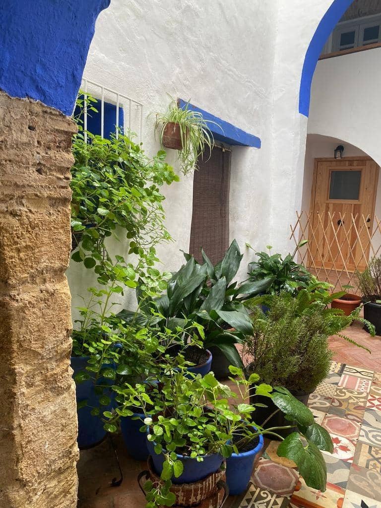 3 soveværelse Lejlighed til salg i Vejer de la Frontera - € 197.000 (Ref: 7517847)