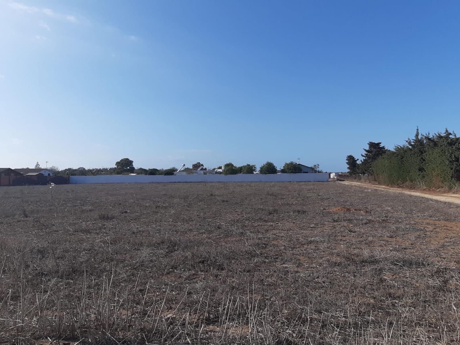 Byggegrund til salg i El Palmar - € 240.000 (Ref: 7529489)