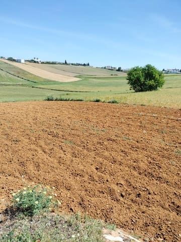 Grunde uden byggetilladelser til salg i Conil de la Frontera - € 105.000 (Ref: 7529493)