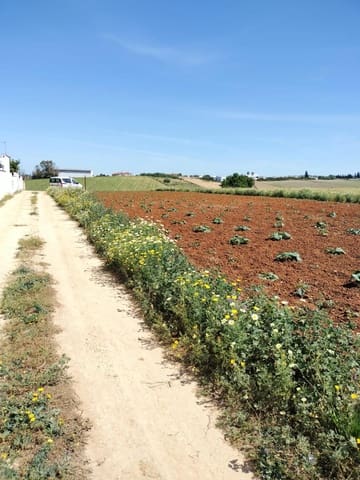 Grunde uden byggetilladelser til salg i Conil de la Frontera - € 105.000 (Ref: 7529493)