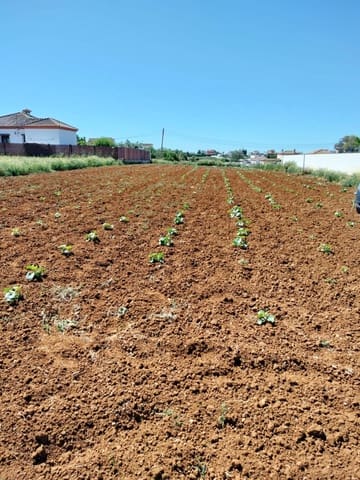 Grunde uden byggetilladelser til salg i Conil de la Frontera - € 105.000 (Ref: 7529493)