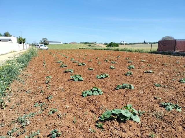 Grunde uden byggetilladelser til salg i Conil de la Frontera - € 105.000 (Ref: 7529493)