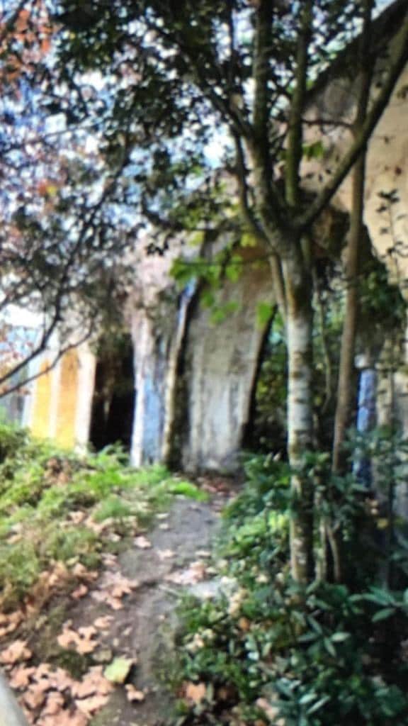 Grunde uden byggetilladelser til salg i Vejer de la Frontera - € 500.000 (Ref: 7543421)