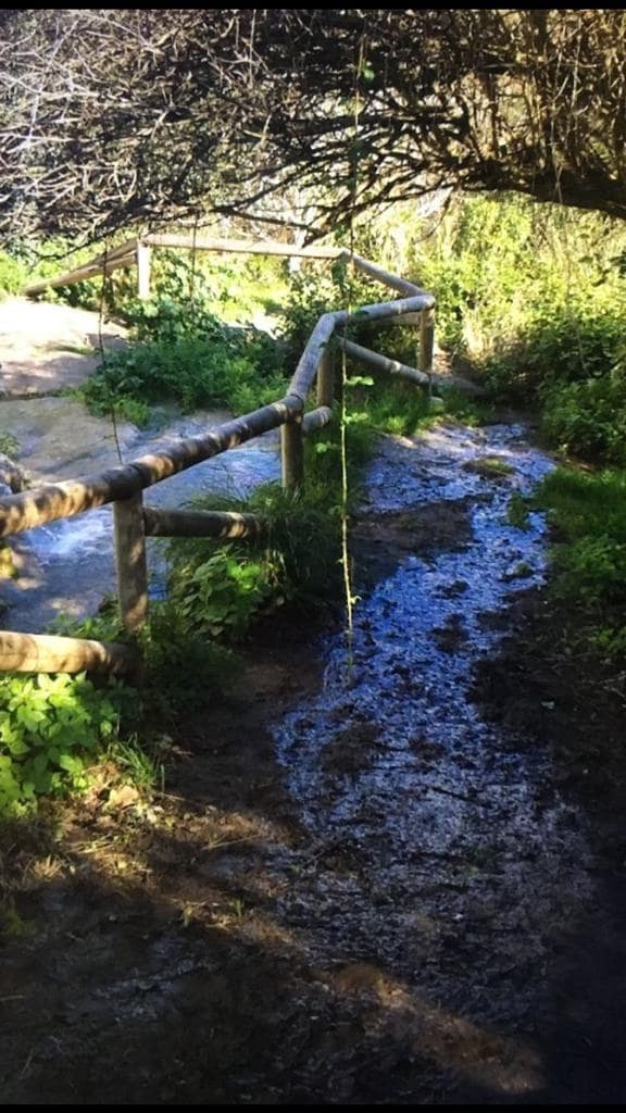 Grunde uden byggetilladelser til salg i Vejer de la Frontera - € 500.000 (Ref: 7543421)