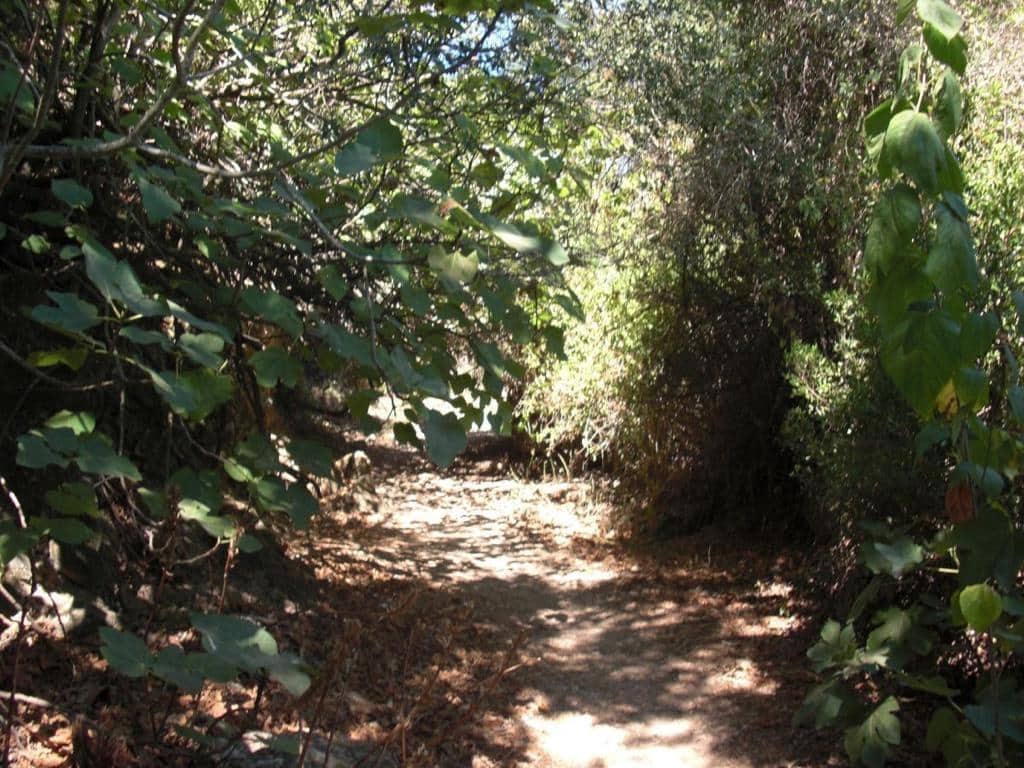 Grunde uden byggetilladelser til salg i Vejer de la Frontera - € 500.000 (Ref: 7543421)