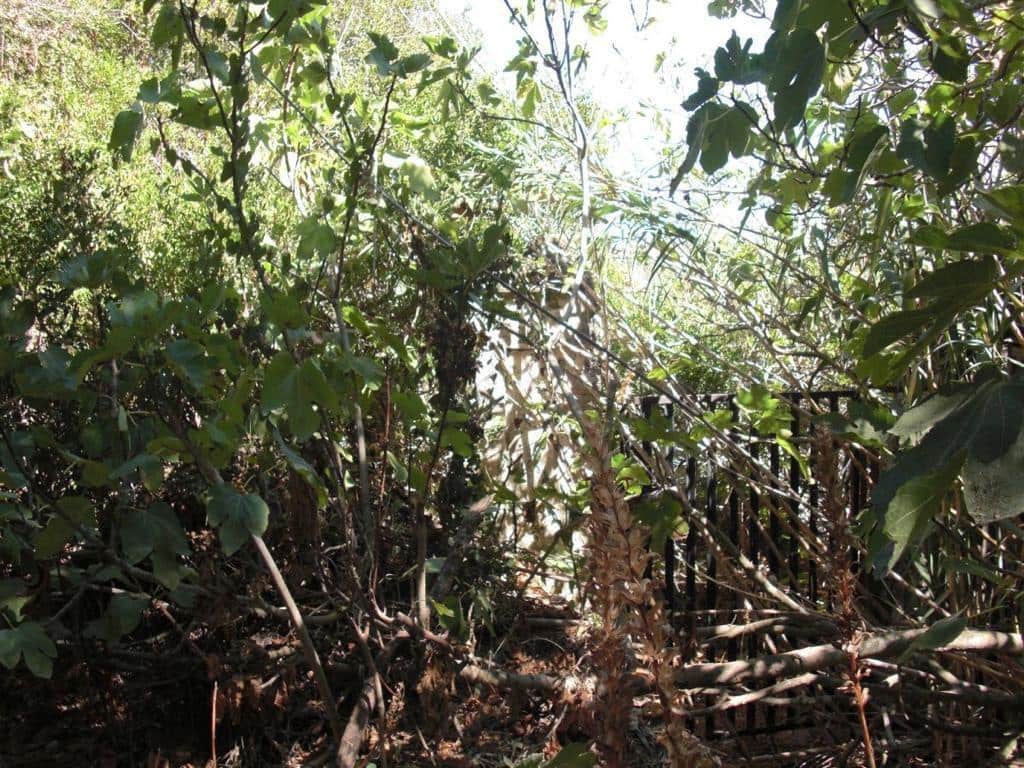 Grunde uden byggetilladelser til salg i Vejer de la Frontera - € 500.000 (Ref: 7543421)