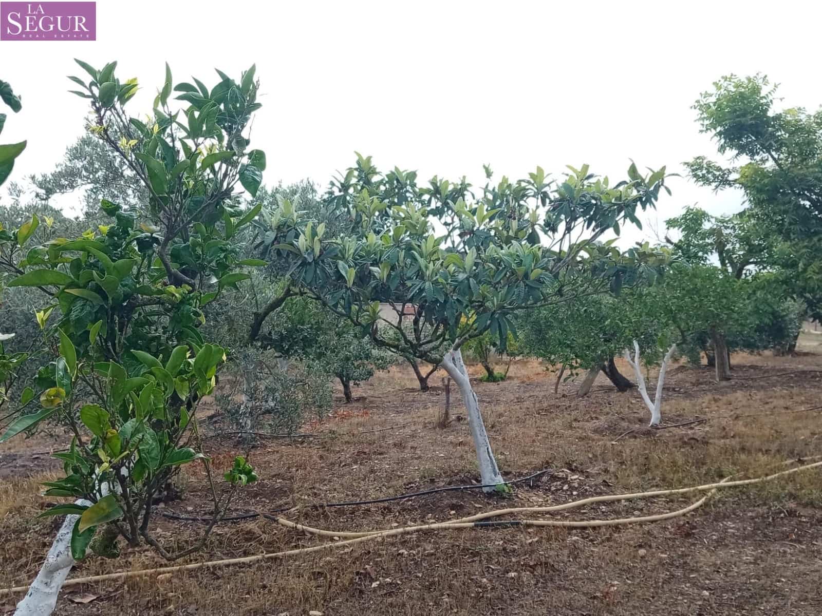 4 camera da letto Finca/Casa di Campagna in vendita in Benalup - 525.000 € (Rif: 7652742)