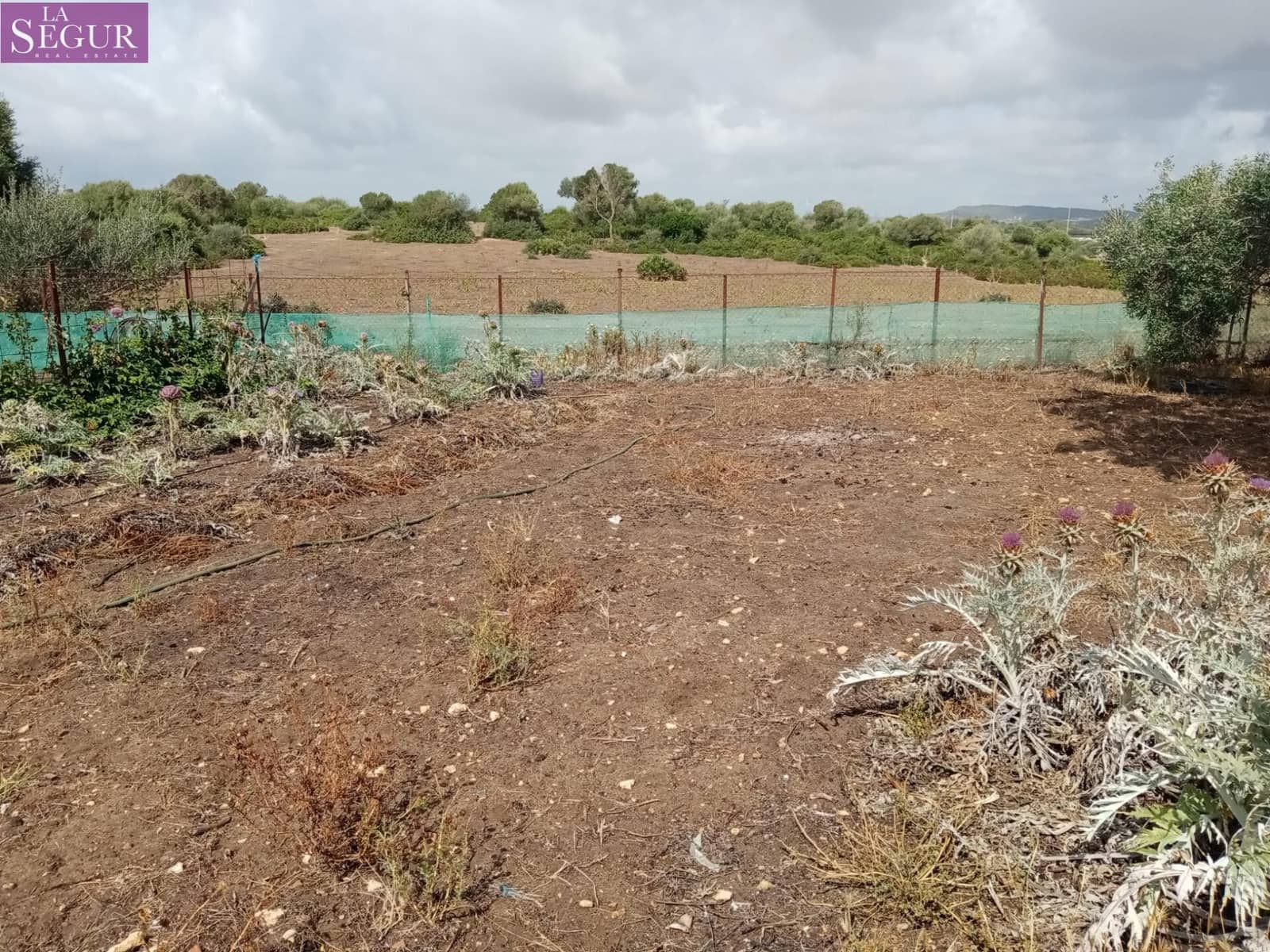 4 camera da letto Finca/Casa di Campagna in vendita in Benalup - 525.000 € (Rif: 7652742)