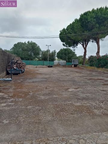 4 chambre Finca/Maison de Campagne à vendre à Benalup - 525 000 € (Ref: 7652742)