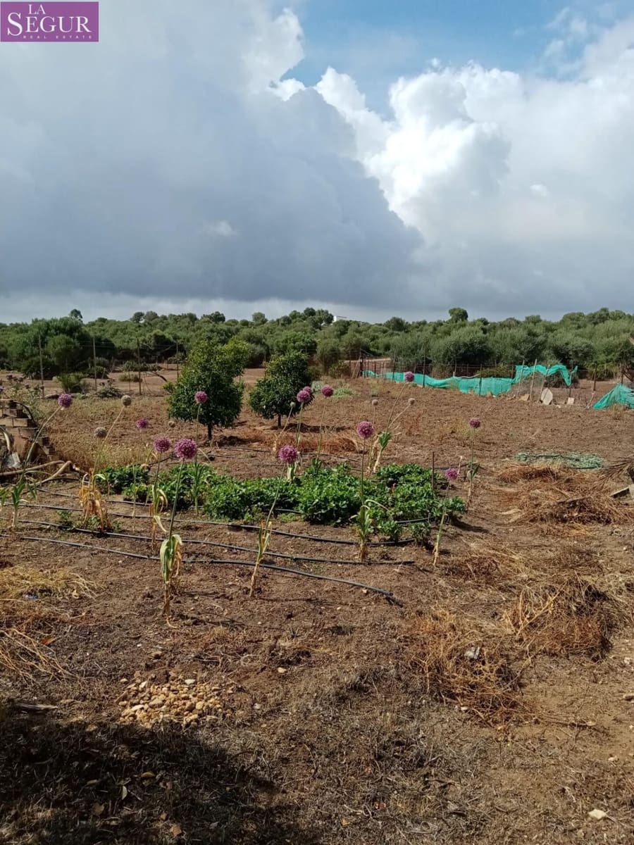 4 camera da letto Finca/Casa di Campagna in vendita in Benalup - 525.000 € (Rif: 7652742)