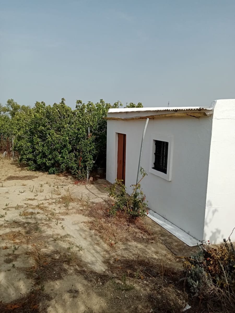 Grunde uden byggetilladelser til salg i Medina-Sidonia - € 140.000 (Ref: 7701294)